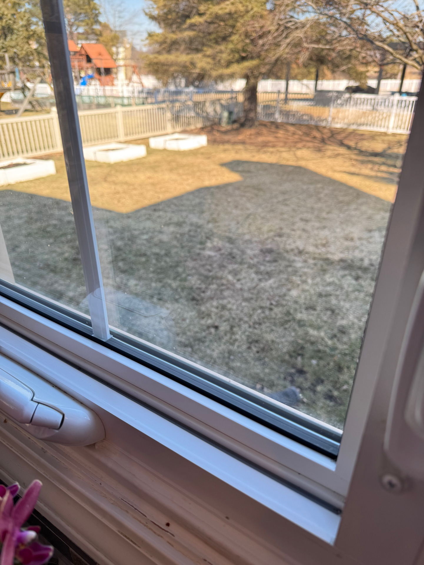 Window after cleaning