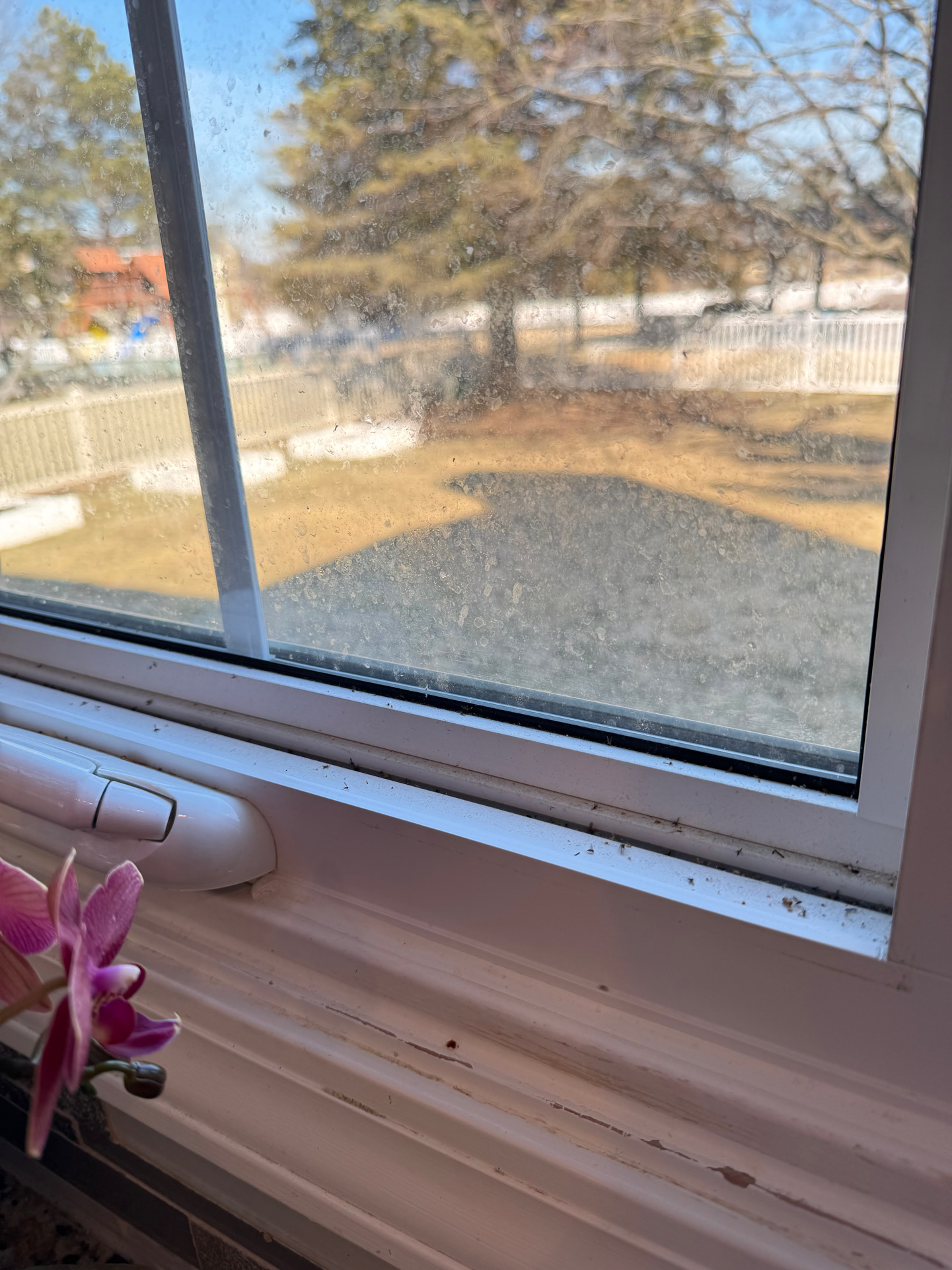 Window before cleaning